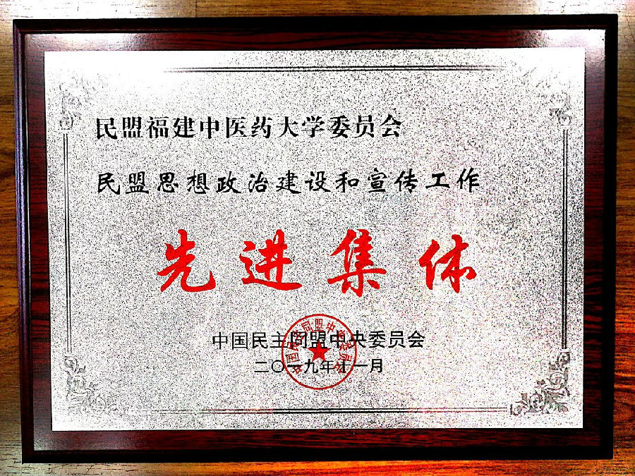 民盟思政工作先进.jpg